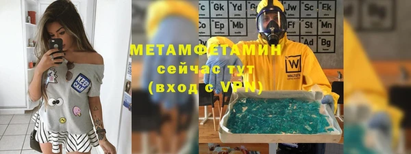 шишки Лабытнанги