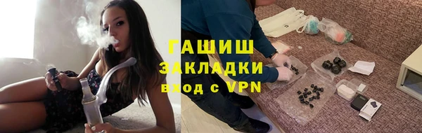 шишки Лабытнанги
