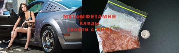 шишки Лабытнанги