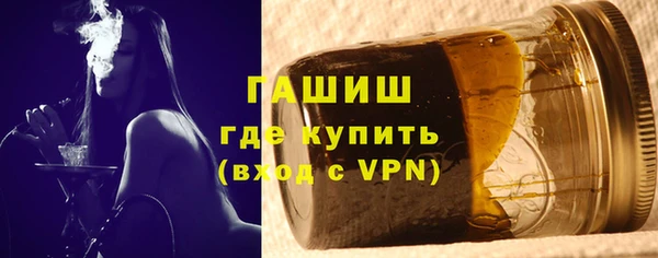 шишки Лабытнанги