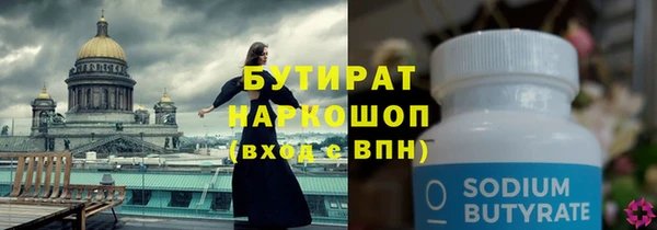 шишки Лабытнанги