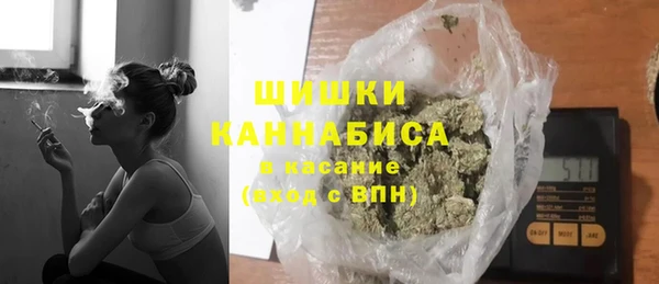 шишки Лабытнанги