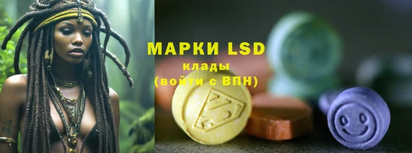 шишки Лабытнанги