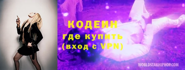 шишки Лабытнанги