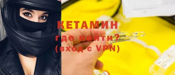 шишки Лабытнанги