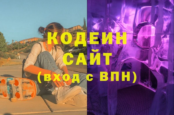 шишки Лабытнанги