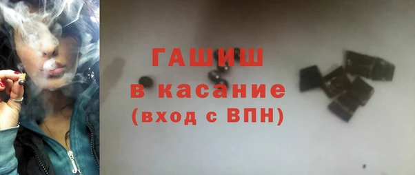 шишки Лабытнанги