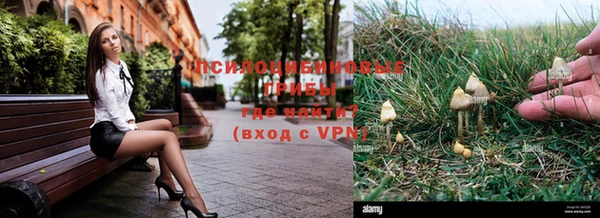 MDMA Premium VHQ Ладушкин
