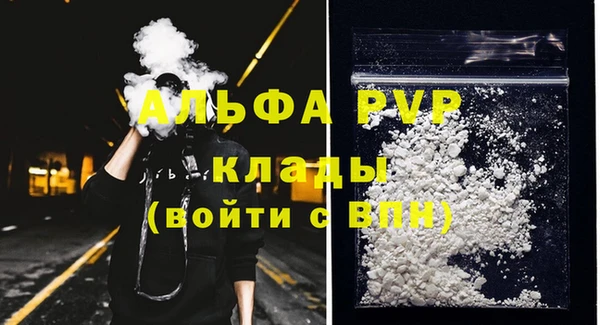 шишки Лабытнанги