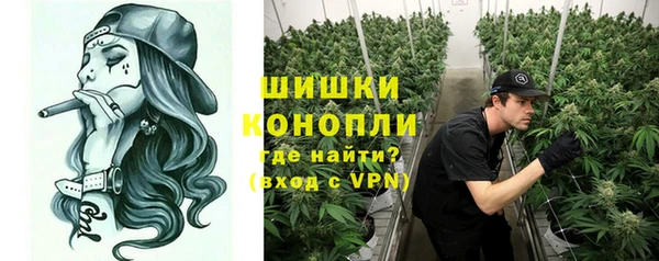 прущие грибы Лагань