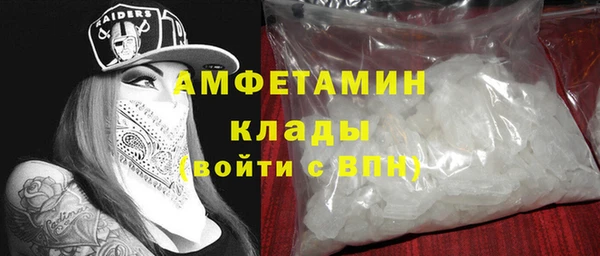 шишки Лабытнанги