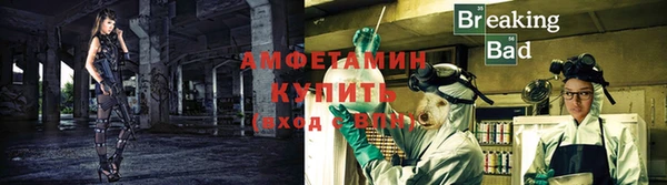прущие грибы Лагань