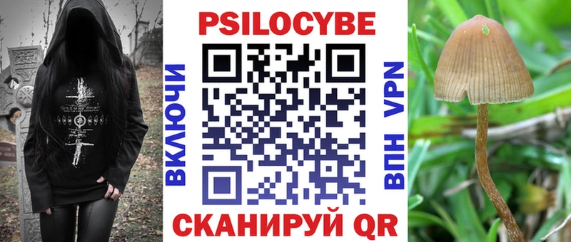 как найти закладки  Малгобек  Псилоцибиновые грибы мухоморы 