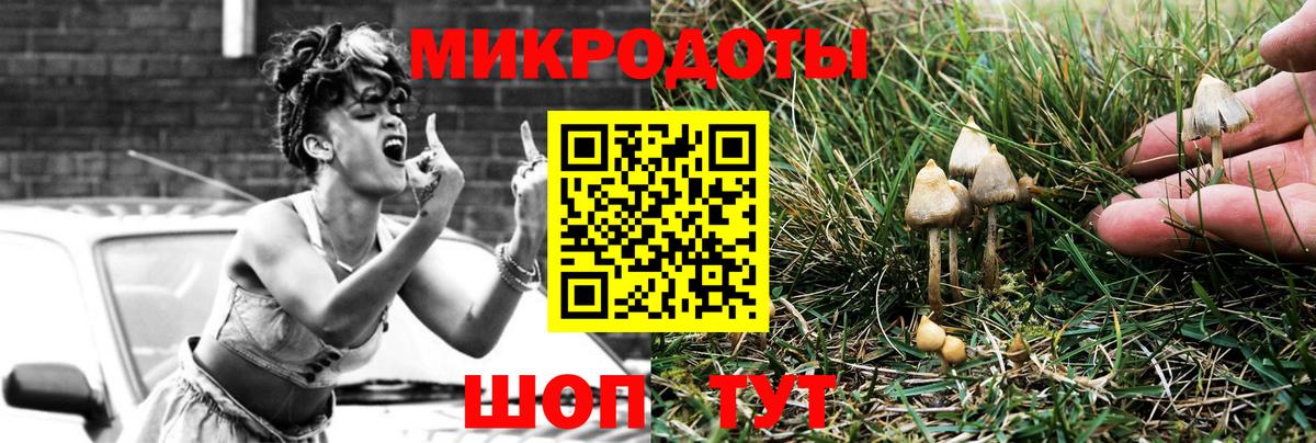 Псилоцибиновые грибы Psilocybe Малгобек